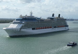 Celebrity Silhouette