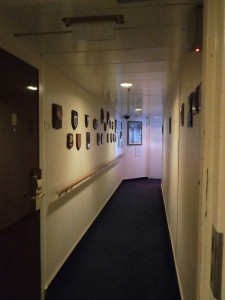 Bridge Viewing Area