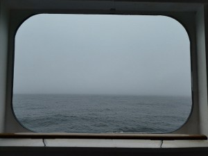 Nebel am Morgen