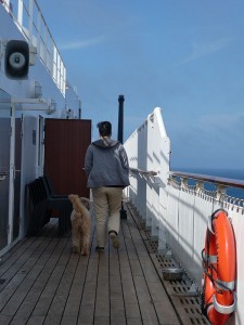 Kennels