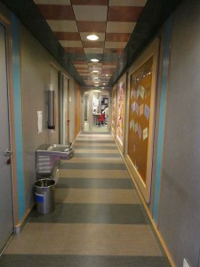 The Zone