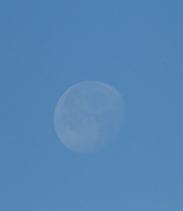noch steht der Mond am Himmel