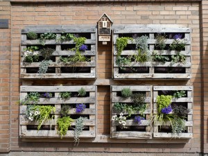 Living Wall