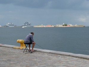 Viking Sky und MSC Meraviglia