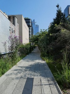 The High Line