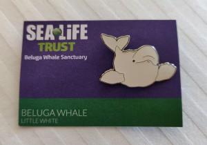 Belugawal-Pin
