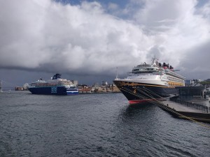 Zenith und Disney Magic
