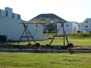 Fischtrocknung beim Heimatmuseum
