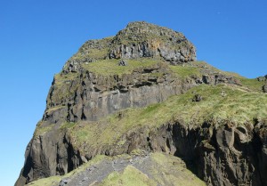Vögel am Heimaklettur