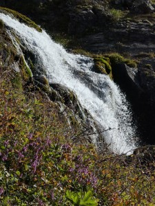 die Wasserfälle