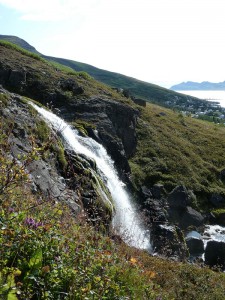 die Wasserfälle