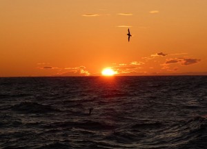 Sonnenuntergang