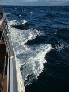 der Seegang nimmt zu