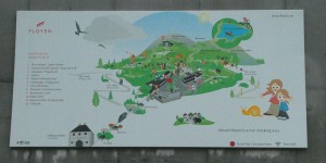 Fløyen