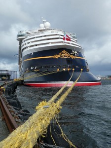 Disney Magic
