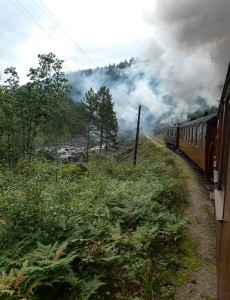 Setesdalbanen
