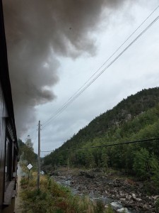 Setesdalbanen