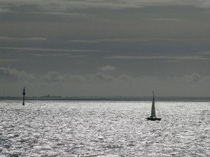 Segler im Gegenlicht