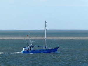 Fischerboot und Robben
