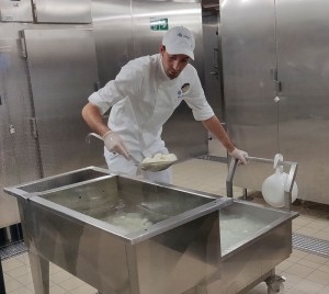 Mozzarella Manufaktur