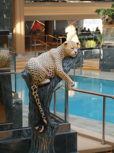 Safari Pool
