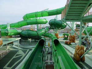 Wild Forest Aqua Park