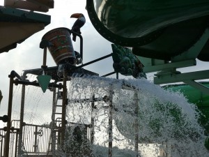 Wild Forest Aqua Park
