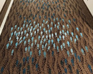Fische schwimmen nach vorne