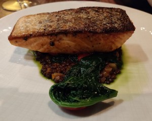 Scottish Salmon