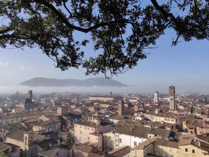 Aussicht vom Torre Guinigi