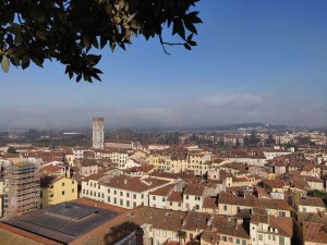 Aussicht vom Torre Guinigi