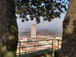 Aussicht vom Torre Guinigi