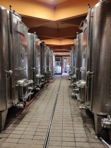 Tenuta del Buonamico