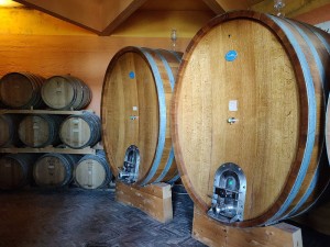 Tenuta del Buonamico