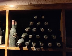 Tenuta del Buonamico