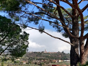 Blick auf Montecarlo