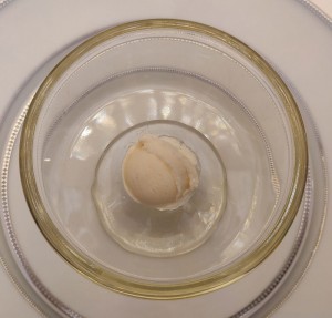 Pina Colada Sorbet