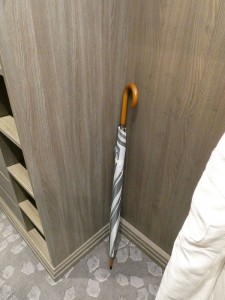 Stockschirm