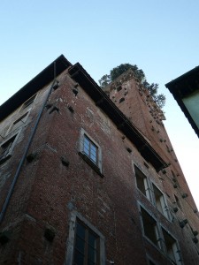 Torre Guinigi