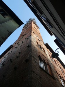 Torre Guinigi
