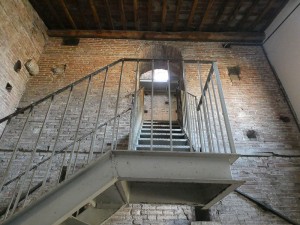Torre Guinigi
