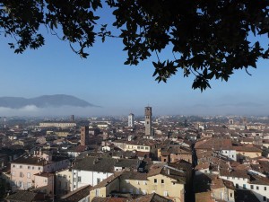 Aussicht vom Torre Guinigi