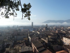 Aussicht vom Torre Guinigi