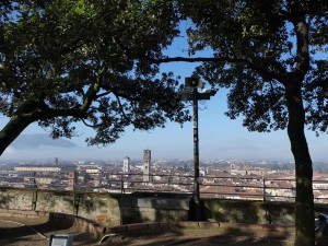 Aussicht vom Torre Guinigi