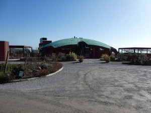 Tenuta del Buonamico