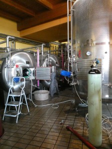 Tenuta del Buonamico
