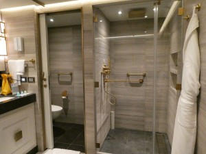 Splendor Suite 919