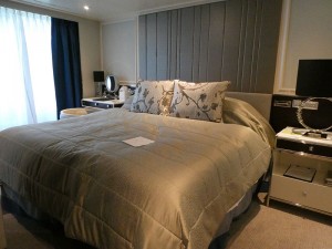 Penthouse Suite 917