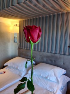 Rose für die Dame