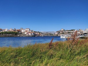 Blick zur Brücke